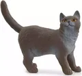 4059433789378 Farm World. 13973. Kot brytyjski krótkowłosy Schleich