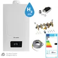 Remeha Paket Tzerra Ace Matic 15 DS 15 kW Gas Brennwert Therme Wandkessel