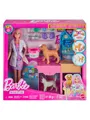 Barbie Fast Cast Veterinarian Clinic playset
