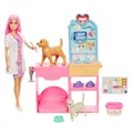 Barbie Fast Cast Veterinarian Clinic Playset with Pink Colored Hair Fashion Doll