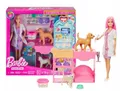 Barbie VET CLINIC Large Playset Doll & Pets Veterinarian Career NEW Mattel JFX93