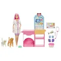 Barbie Haustierklinik Spielset