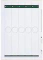 LEITZ® Rückenschild, auf A4-Bogen, selbstklebend, Papier, schmal/lang, 34 x 279 mm, grau (125 Stück), Sie erhalten 1 Packung á 125 Stück