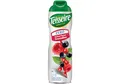 Teisseire Zuckerfrei, Sirup Grenadine für Erfrischungsgetränke, Cocktails, Flasche 60 cl