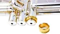 Denis Wick DW4906 Tone Halsband für Kornett, Silber