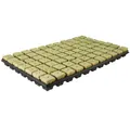 Grodan Stecktray 3,6x3,6 Cm. (je Tray 77 St.)