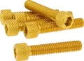 Schraubensatz 6 Stück Innensechskant Alu gold - M6x30