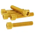 Bolzen Innensechskant Schraubensatz Alu gold M6x30 - 6 Stück Eloxierte Deko-Schr