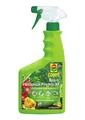 COMPO Duaxo® Universal Pilz-frei AF 750 ml schützt Zierpflanzen Gemüse Kräuter