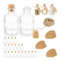 Dekogläser Mini-Glasflaschen Korkfläschchen Gewürzbehälter 60 ml transparent