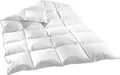 135x200cm 1600 gr. 5% DAUNEN 95% FEDERN BETT Hotel QUALITÄT Daunendecke Daunendecken Decken Decke Bett Bettdecke Zudecke Steppdecke Daunen  Welt-der-Träume