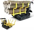 BAMATO Mini Raupendumper MTR-300H