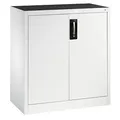CP Stahlschrank 8821-000 S10200 lichtgrau 1 Fachboden 93,0 x 50,0 x 100,0 cm, aufgebaut, 1 St.