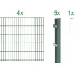 Doppelstabmatten-Set ALBERTS Typ 6/5/6 800 x 120 cm grün