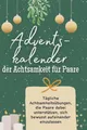 Adventskalender der Achtsamkeit für Paare ~ Alice Schulz ~  9783759108890