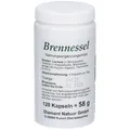 Brennessel