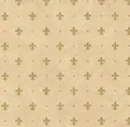 AS4HOME Klebefolien für Möbel French Lily Gold 45 cm x 200 cm