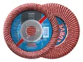 Pferd Fächerschleifscheibe Curve M 125 mm K 60 CO - 67689056