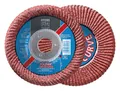 Pferd Schleifscheibe, Fächerschleifscheibe Curve M 125 mm K 60 CO
