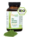 BIO Gerstengrassaft - 45g Pulver  (376,67 €/kg)