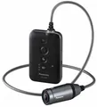 PANASONIC Tragbare Kamera HX-A100-Black