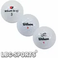 100 WILSON GOLFBÄLLE AAAA - AAA LAKEBALLS WILSON MIX GOLFBÄLLE TOP QUALITÄT