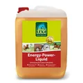 LEXA Pferdefutter Energy-Power-Liquid