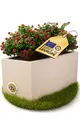 Pflanzkübel rechteckig Vulkan Blumenkasten mit Wasserspeicher Balkon Blumenkübel
