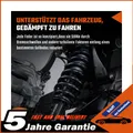 HINTEN 1.2 1.3 1.4 1.7 FEDERN HINTEN FAHRWERKSFEDER FEDER L + R