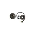 Schwungrad Stator Generator Husqvarna SM R 250 2007 2009