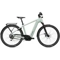 Flyer Gotour 7.10 Gents - Frosty Sage - 48cm | 28