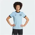 adidas Performance Fußballtrikot DFB ANNIVERSARY TRIKOT (1-tlg) blau L (44)