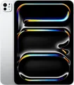 iPad Pro 11 G5 256GB Tablet silver (MVV93NF/A)