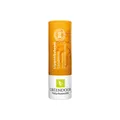 GREENDOOR Lippenbalsam Sanddorn