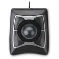 Kensington Expert mouse