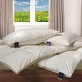 Billerbeck Daunendecke 306 Nena Mono medium, Füllung: 100% Gänsedaunen 155x220 cm