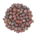 1000Kräuter Weißdornbeeren ganz Weißdornfrüchte Weißdornbeerentee Tee 500 g