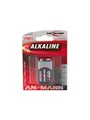 ANSMANN 1515-0000