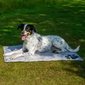 Kühlmatte Hunde Kältematte Haustier Kühlkissen Selbstkühlend Eismatte Grau