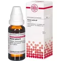 Avena Sativa Urtinktur 20 ml