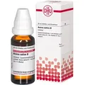 Avena Sativa Urtinktur 20 ml