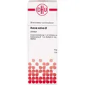 DHU-Arzneimittel GmbH & Co. KG AVENA SATIVA Urtinktur 20 ml