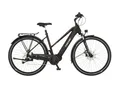 FISCHER Fahrrad E-Bike Trekkingrad VIATOR 4.2i 630 ACTIVE, 9 Gang Shimano, Mittelmotor, 630 Wh