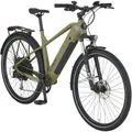 Prophete E-Bike SUV Stack 2.0 Vollintegriert Moosgrau Matt 29 Zoll