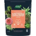 Blumenerde Westland Kakteen und Sukkulenten Erde, torffrei, mit Dünger, 4 Liter