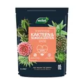 Westland Kakteen & Sukkulenten Erde, 4 l – Kakteenerde für gesunde Pflanzen, Erde mit Tongranulat zur optimalen Wasser- und Nährstoffverteilung