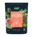 Westland Kakteen Sukkulenten Erde torffrei 4 L