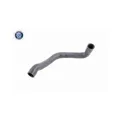 VAICO V30-1618 Kühlerschlauch  für MERCEDES-BENZ, unten