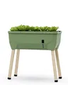 GUSTA GARDEN Sammy Salad Hochbeet Dunkelgrün - Hochbeet Balkon & Garten - für Salat Anbau - mit Bewässerungssystem - 15L Wassertank & 40L Erdvolumen