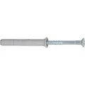 Fischer Nageldübel N 8x100/60 S (129331)